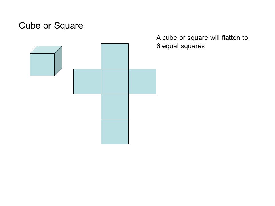 Cube or Square A cube or square will flatten to 6 equal squares.