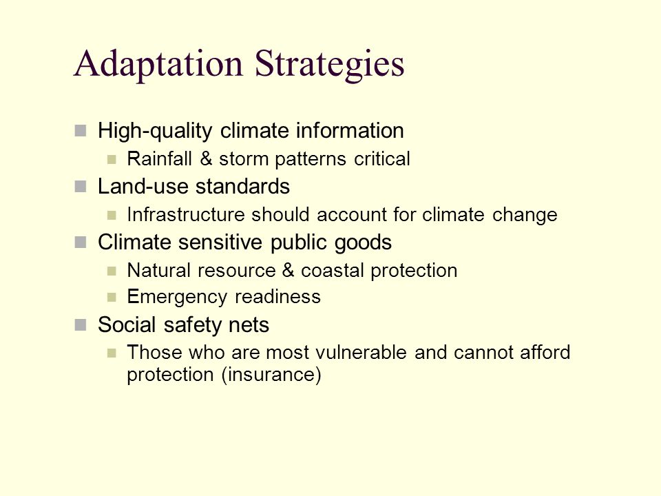 Adaptation Strategies