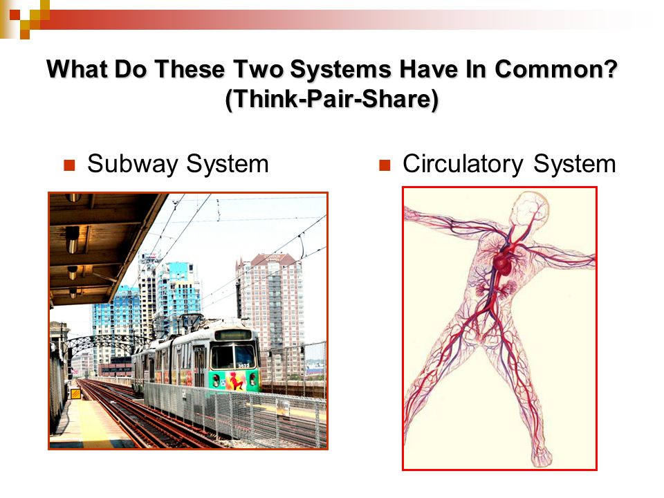 What Do These Two Systems Have In Common (Think-Pair-Share)