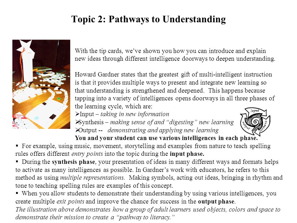 Topic 2: Pathways to Understanding