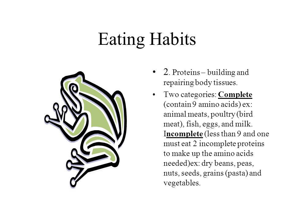 Eating Habits 2. Proteins – building and repairing body tissues.