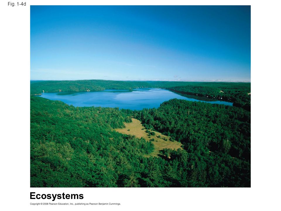 Fig. 1-4d Figure 1.4 Levels of biological organization Ecosystems