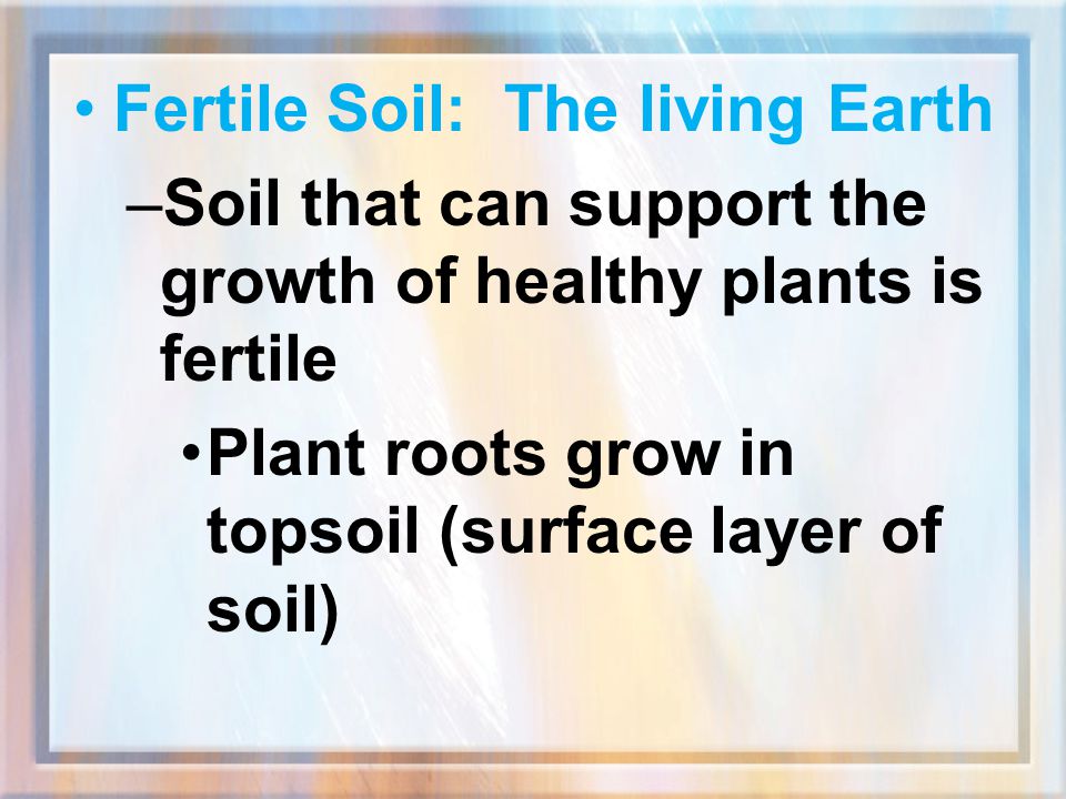 Fertile Soil: The living Earth