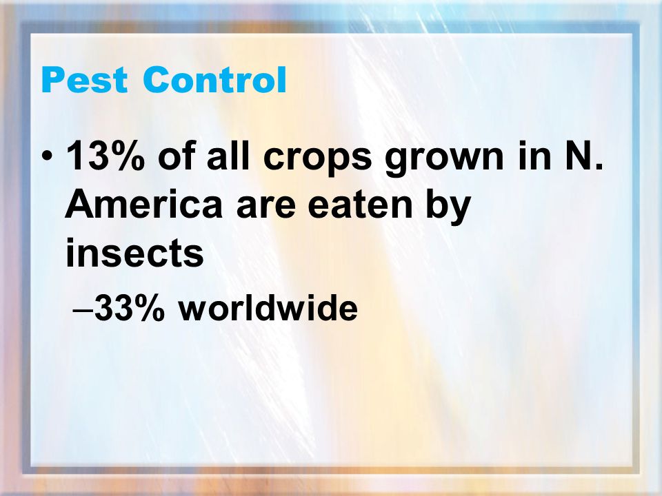 13% of all crops grown in N. America are eaten by insects