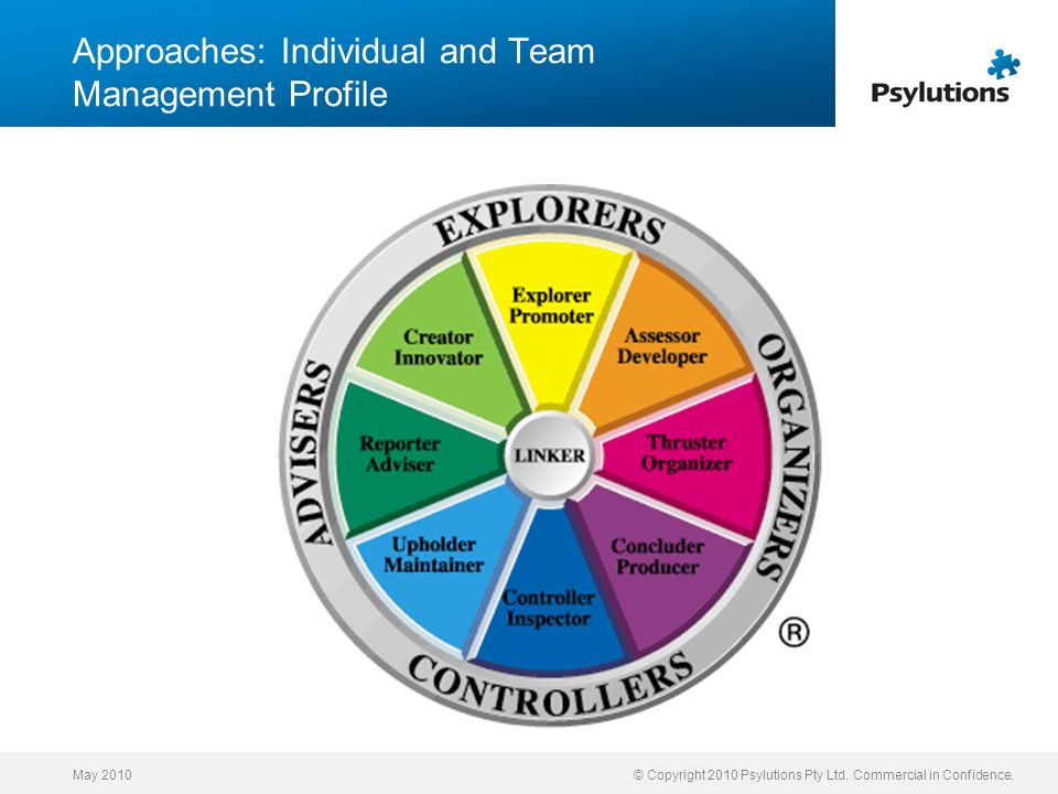 Approaches: Individual and Team Management Profile