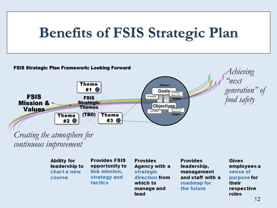 Benefits of FSIS Strategic Plan
