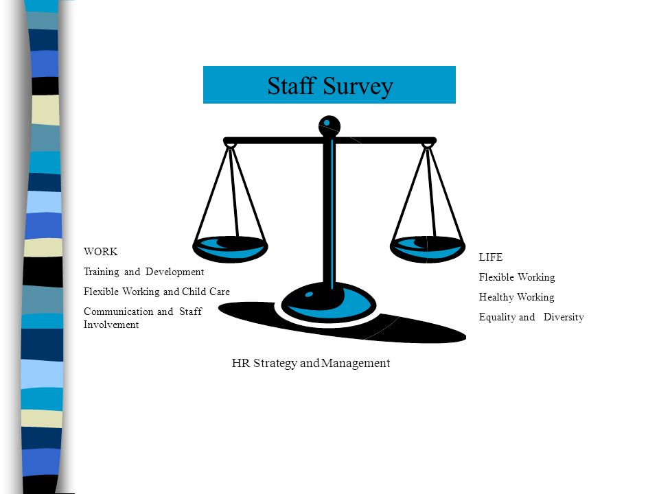 Staff Survey HR Strategy and Management WORK Training and Development