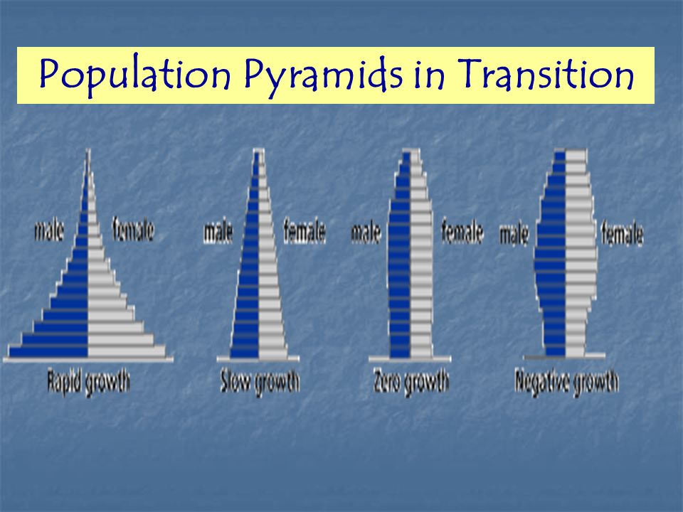 Population Pyramids in Transition
