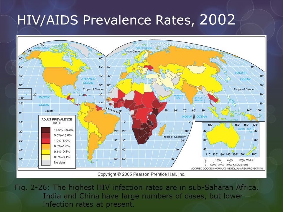 HIV/AIDS Prevalence Rates, 2002