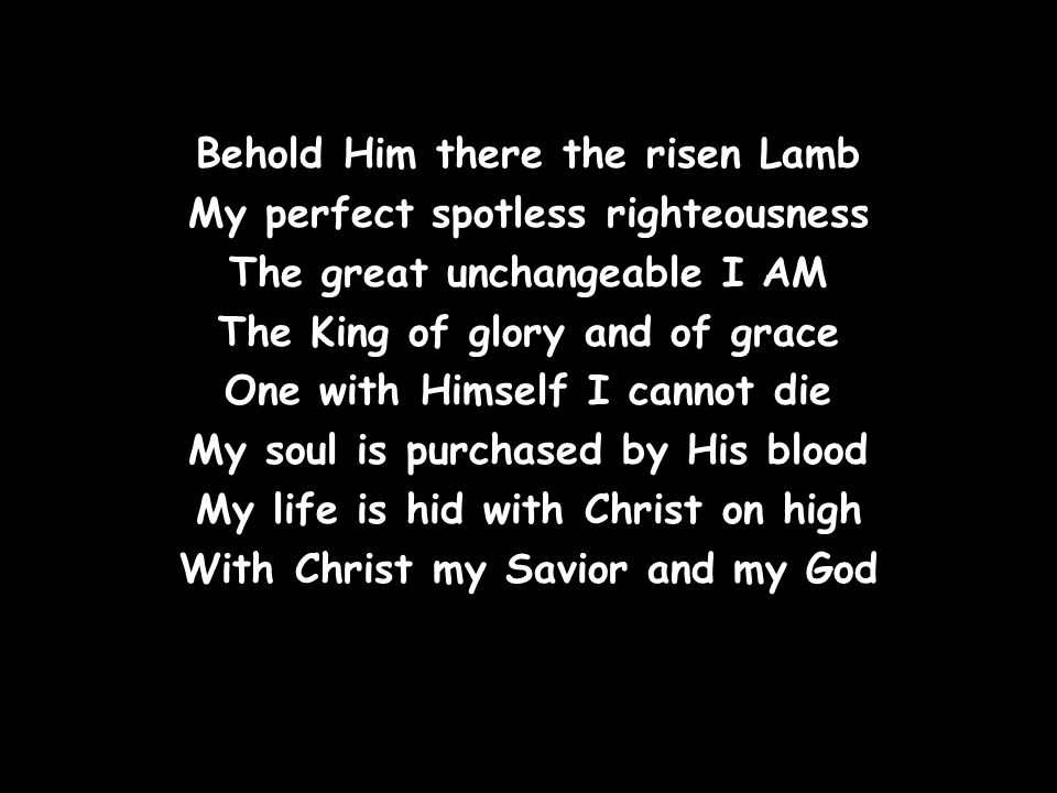 Behold Him there the risen Lamb My perfect spotless righteousness