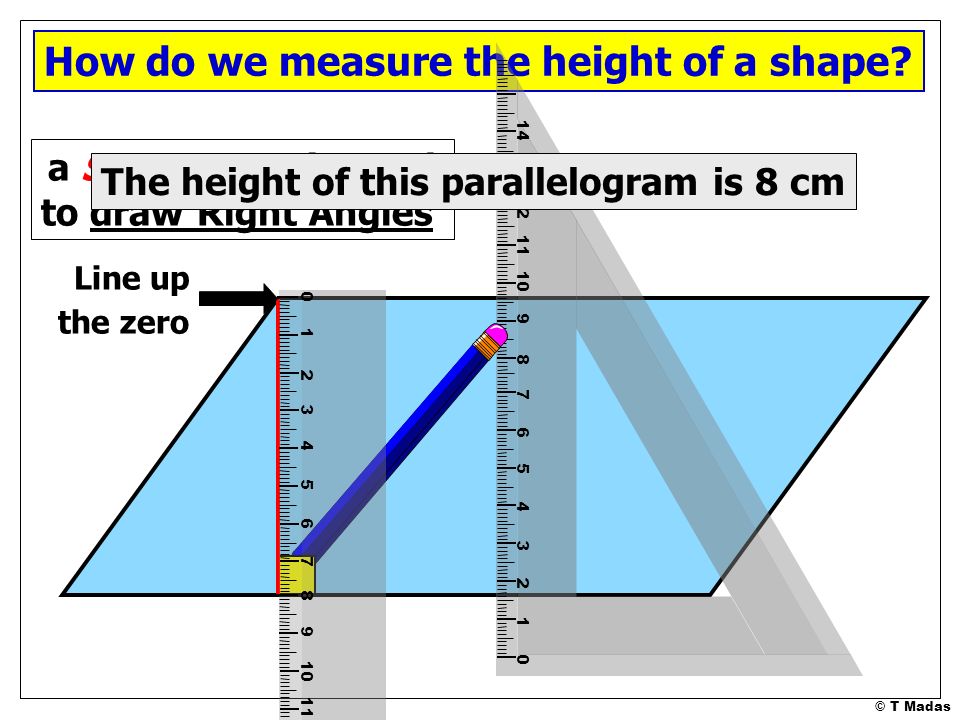 How do we measure the height of a shape