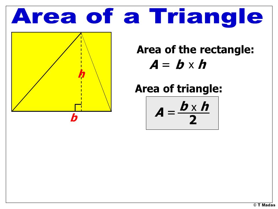 Area of a Triangle A = b h b A = 2 Area of the rectangle: x h