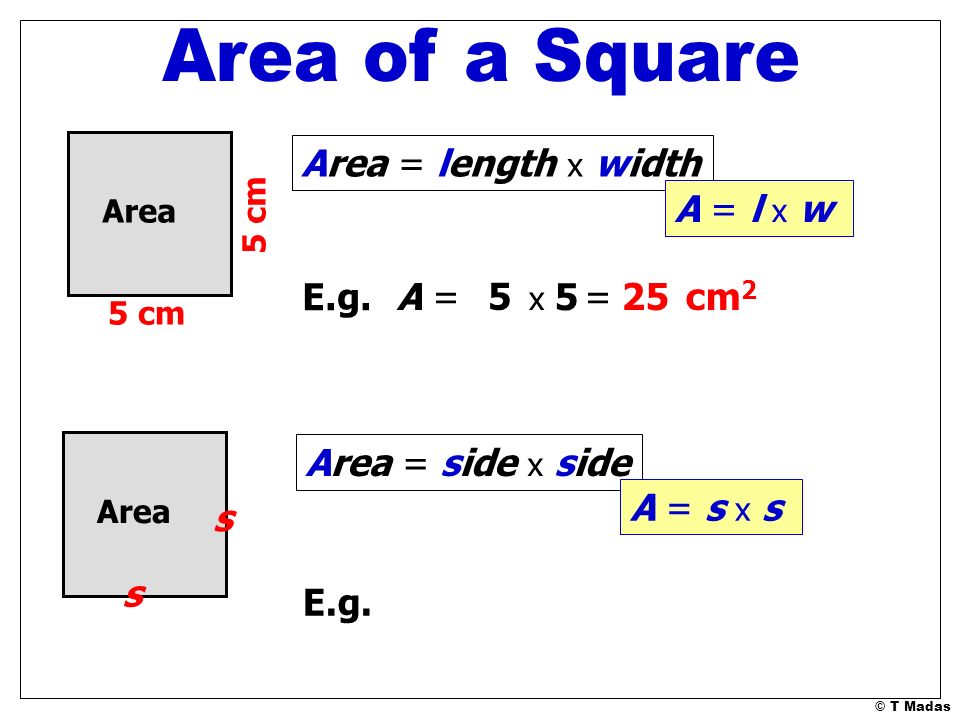 Area of a Square Area = length x width A = l x w E.g. A = 5 = 25 cm2