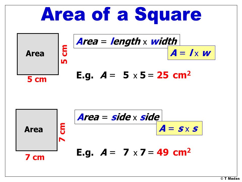 Area of a Square Area = length x width A = l x w E.g. A = 5 = 25 cm2