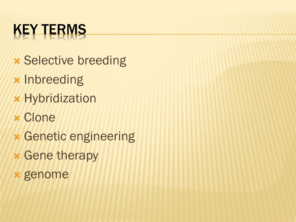Key Terms Selective breeding Inbreeding Hybridization Clone
