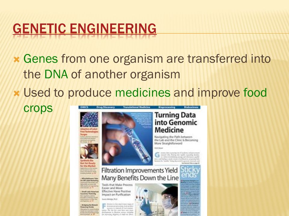 Genetic Engineering Genes from one organism are transferred into the DNA of another organism.