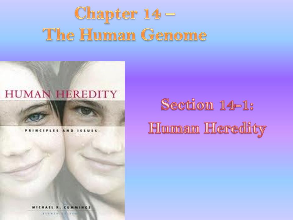 Chapter 14 – The Human Genome