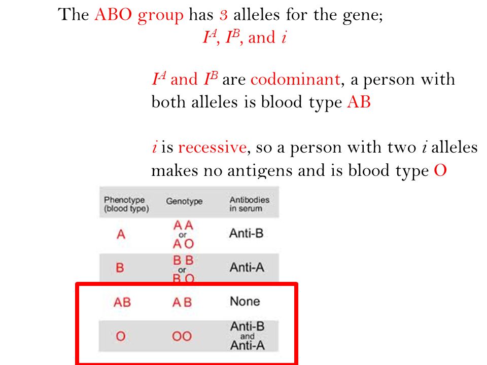 The ABO group has 3 alleles for the gene;