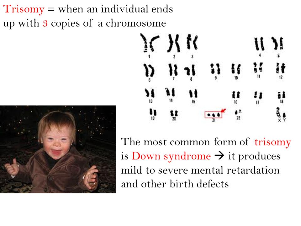 Trisomy = when an individual ends up with 3 copies of a chromosome
