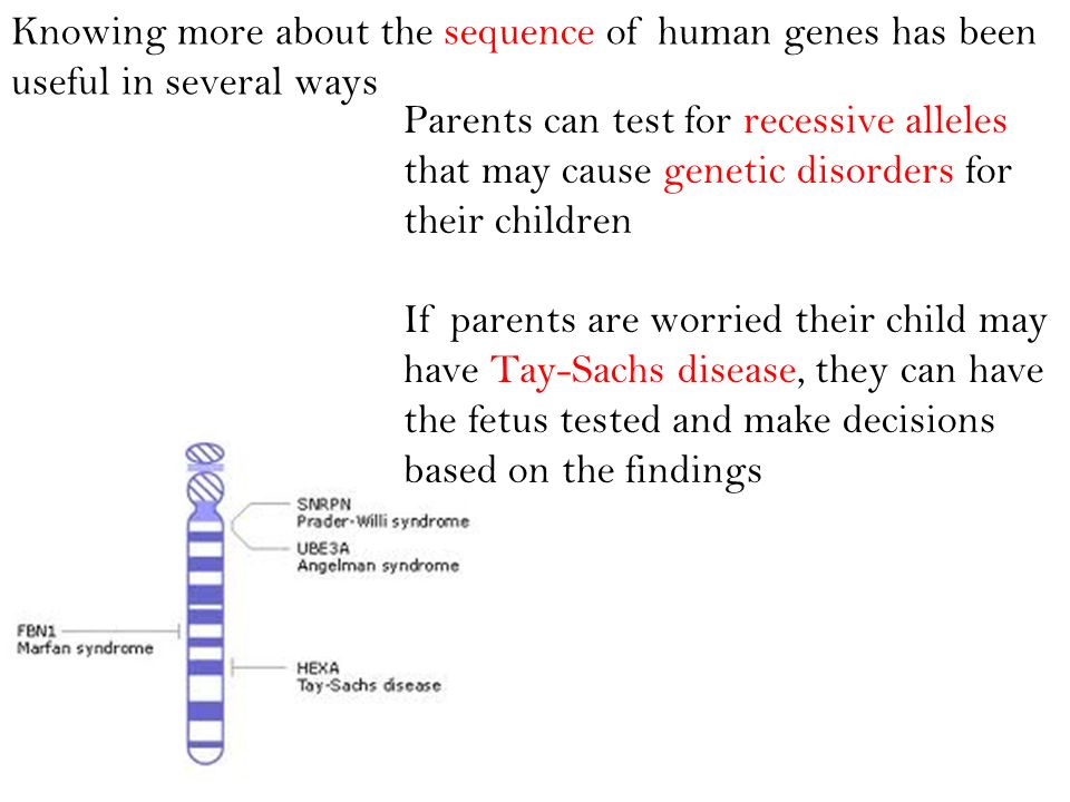 Knowing more about the sequence of human genes has been useful in several ways