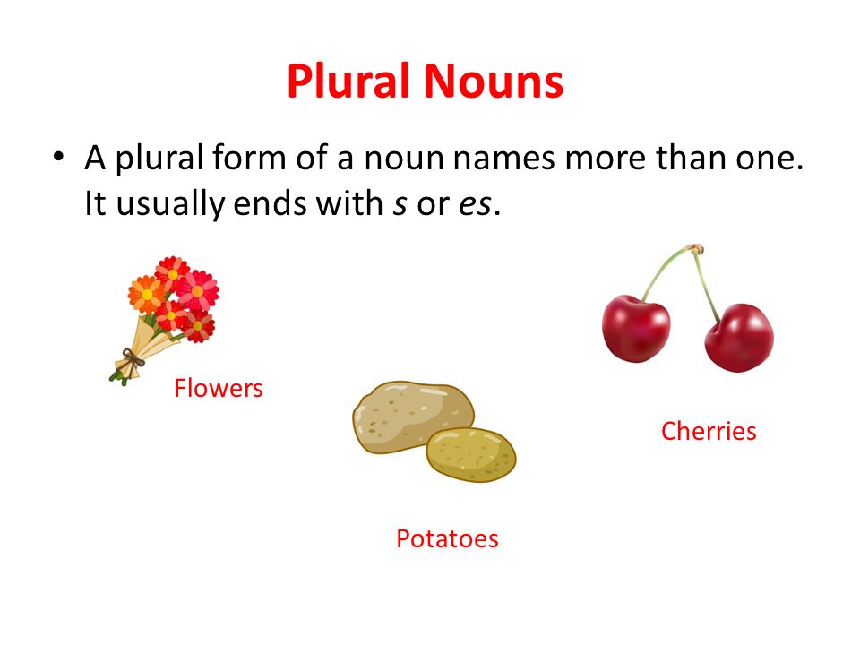 Plural Nouns A plural form of a noun names more than one. It usually ends with s or es. Flowers. Cherries.