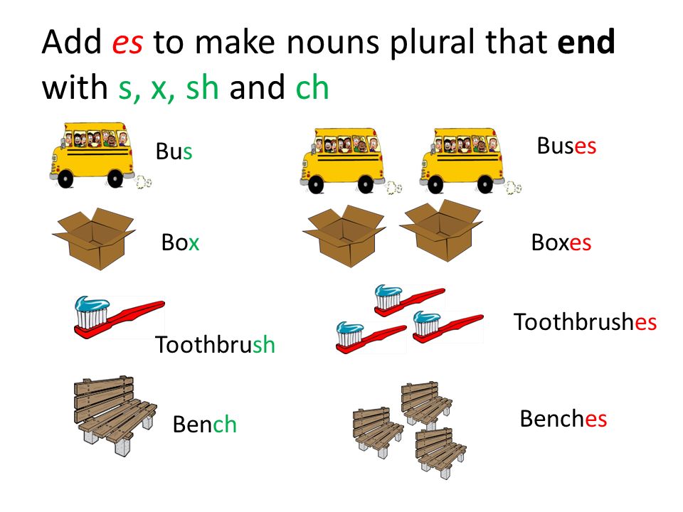 Add es to make nouns plural that end with s, x, sh and ch