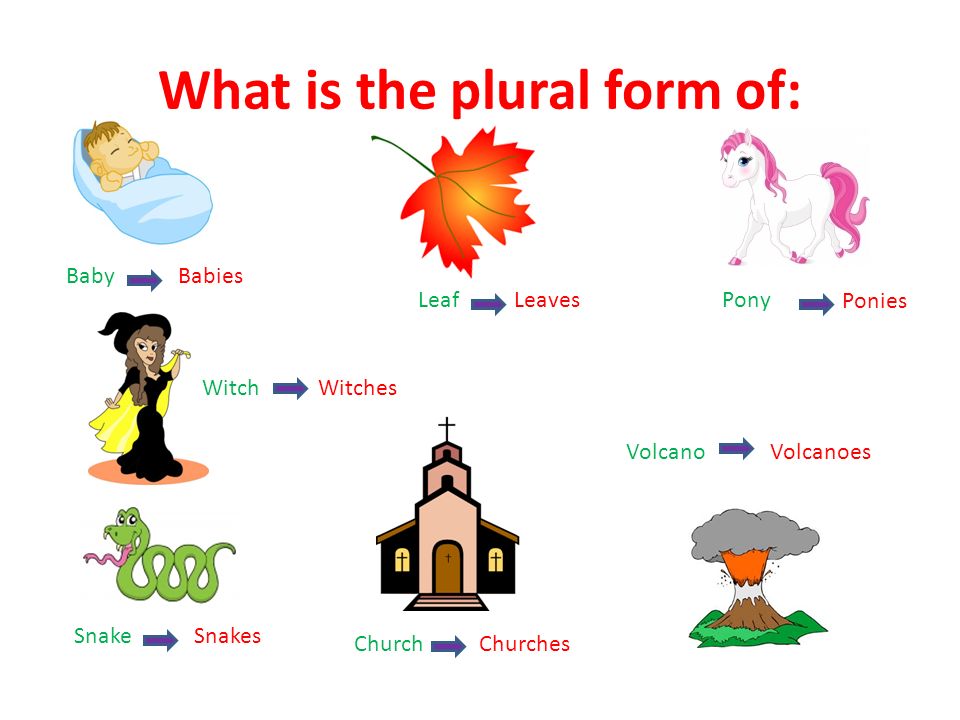 What is the plural form of: