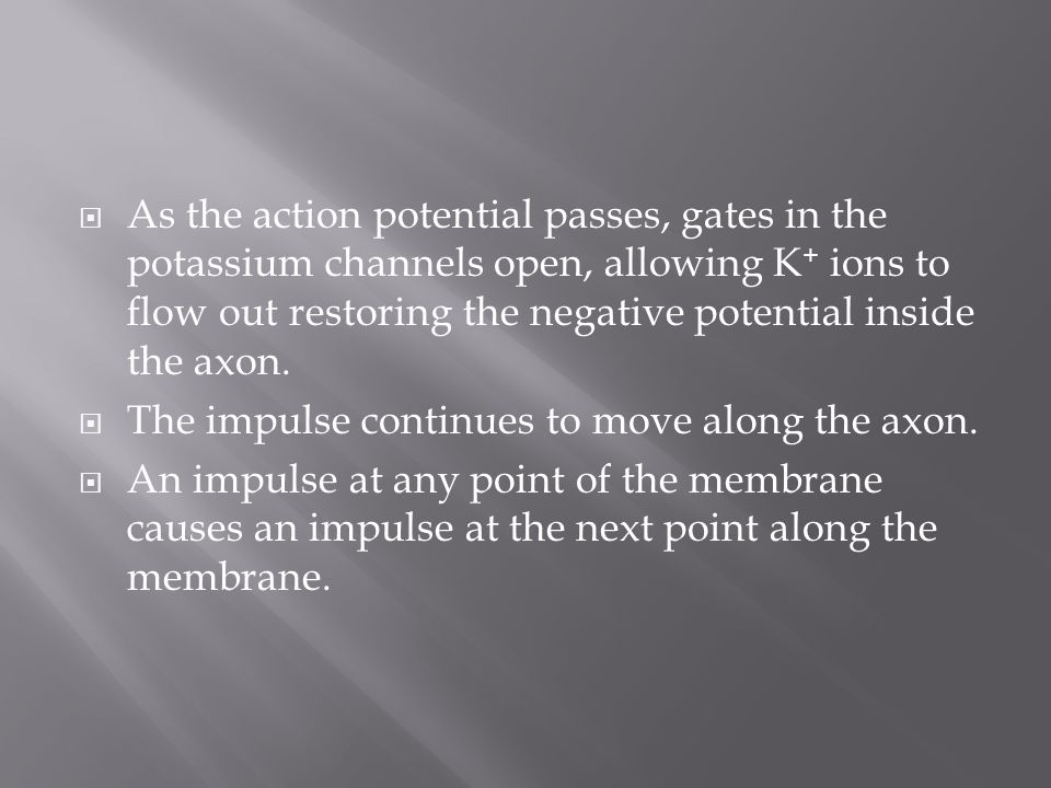 As the action potential passes, gates in the potassium channels open, allowing K+ ions to flow out restoring the negative potential inside the axon.