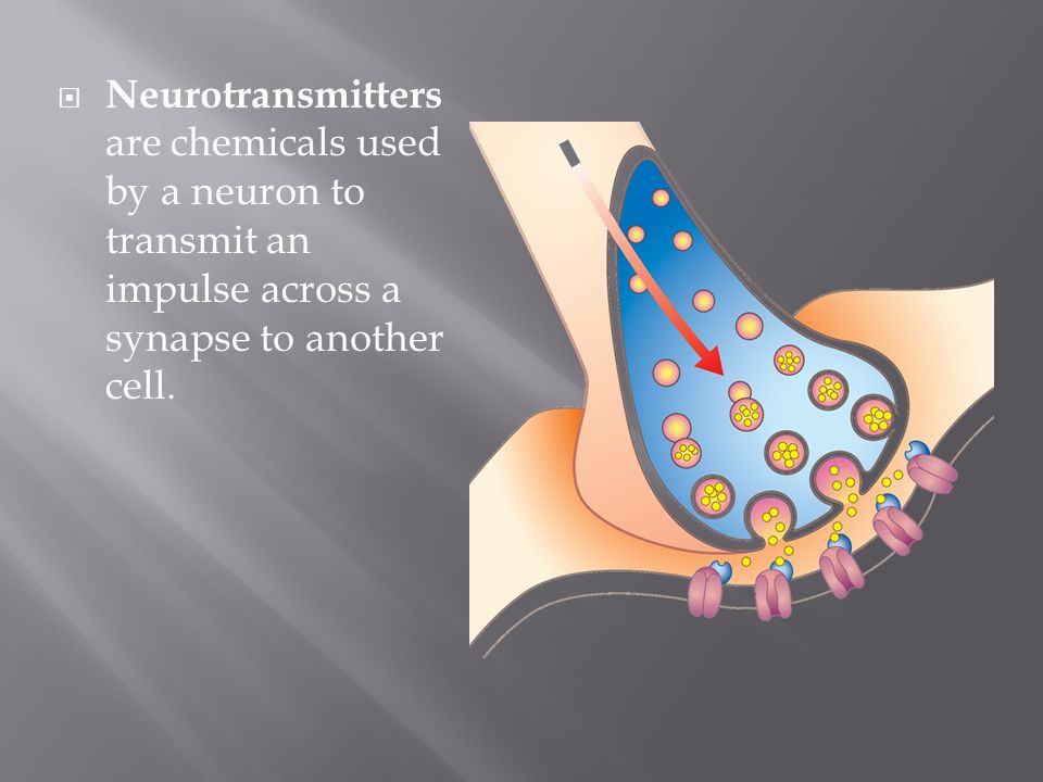 Neurotransmitters are chemicals used by a neuron to transmit an impulse across a synapse to another cell.