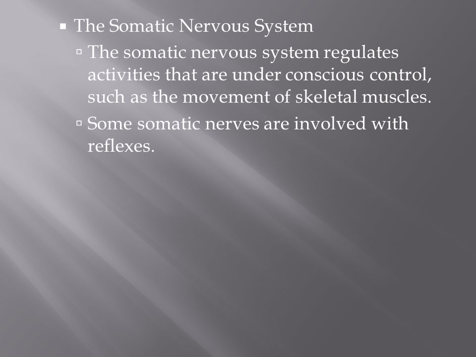 The Somatic Nervous System