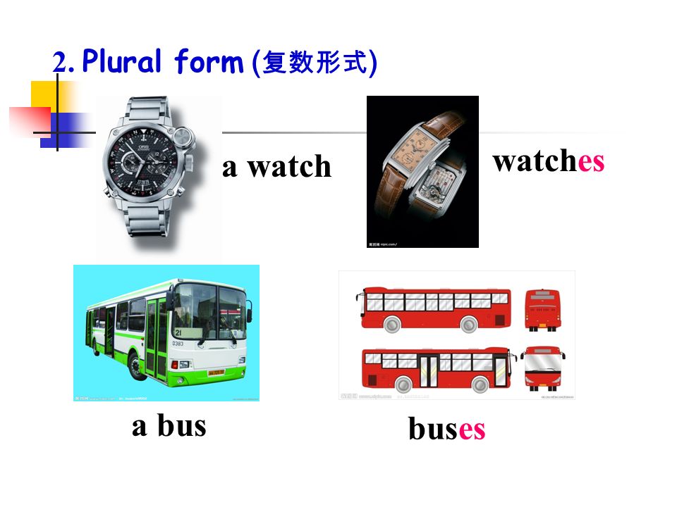 2. Plural form (复数形式) watches a watch a bus buses