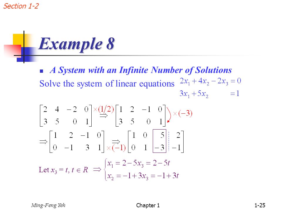 Example 8 A System with an Infinite Number of Solutions