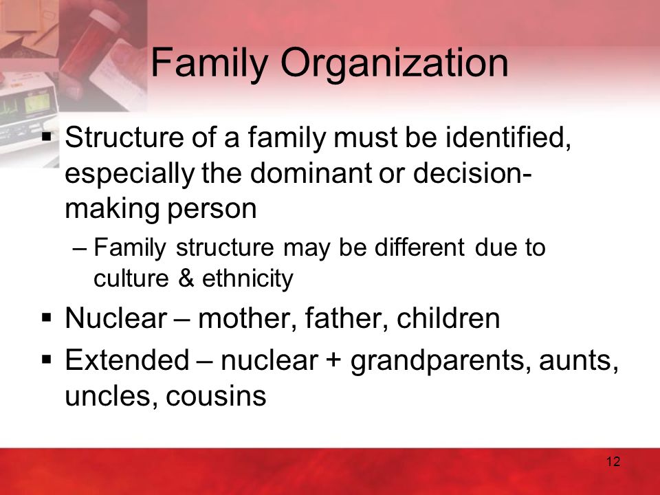 Family Organization Structure of a family must be identified, especially the dominant or decision-making person.