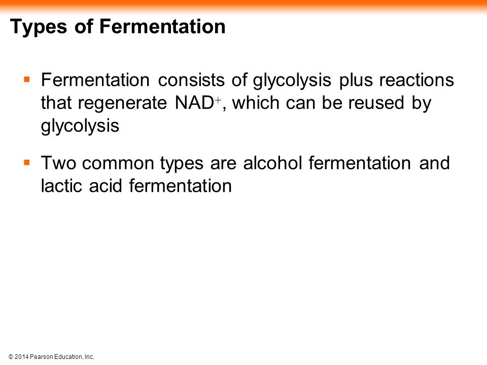 lactic fermentation,lacticacidosis cellular respiration and fermentation