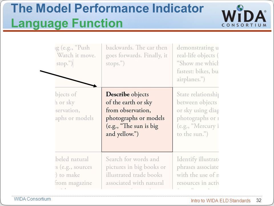 The Model Performance Indicator Language Function