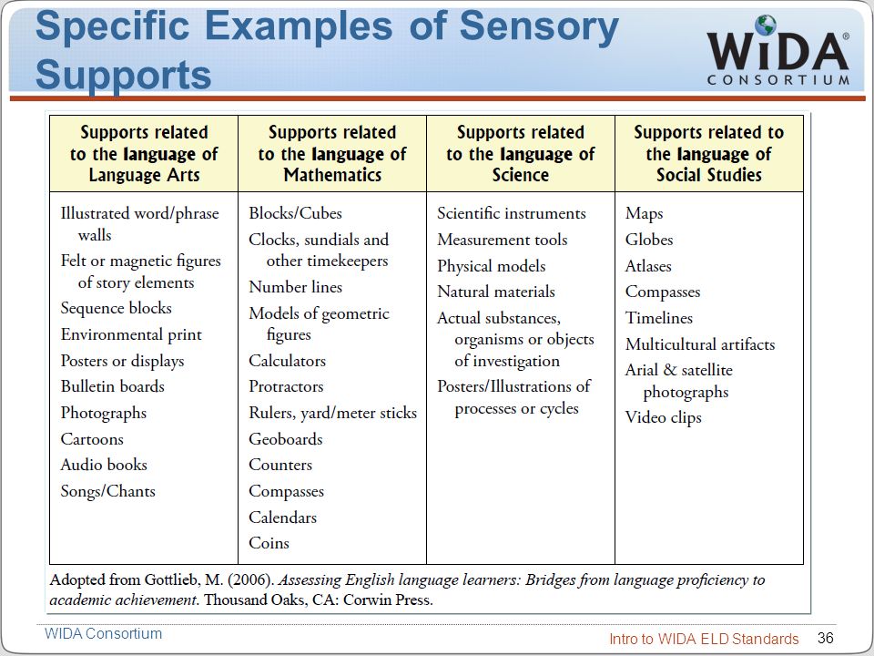 Specific Examples of Sensory Supports