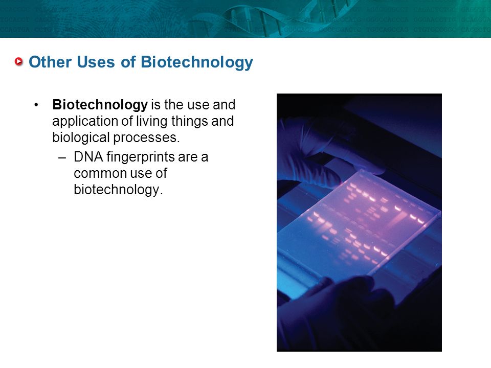 Other Uses of Biotechnology