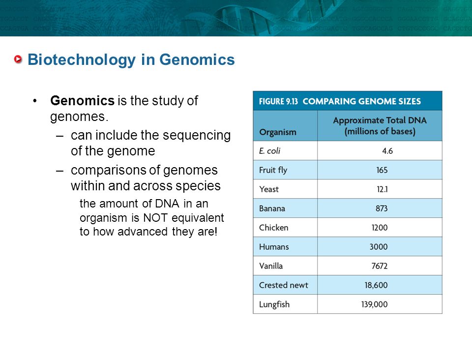 Biotechnology in Genomics