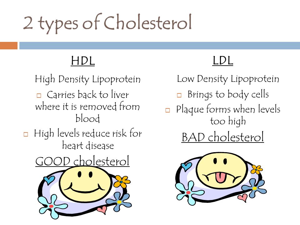 2 types of Cholesterol HDL LDL High Density Lipoprotein