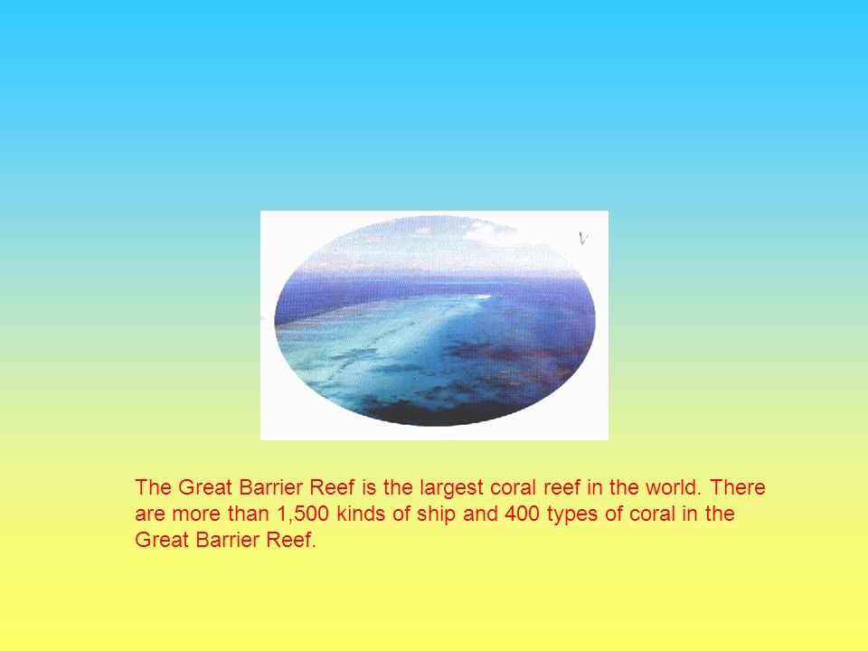 The Great Barrier Reef is the largest coral reef in the world