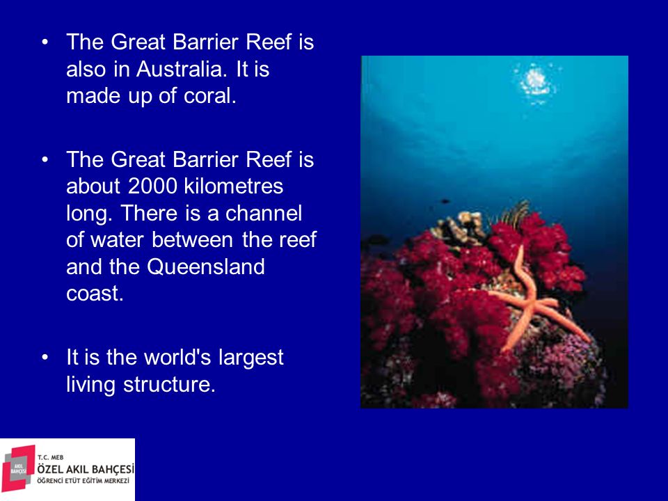 The Great Barrier Reef is also in Australia. It is made up of coral.