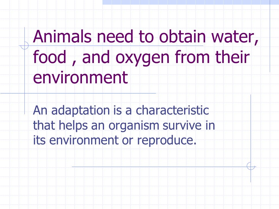 Animals need to obtain water, food , and oxygen from their environment