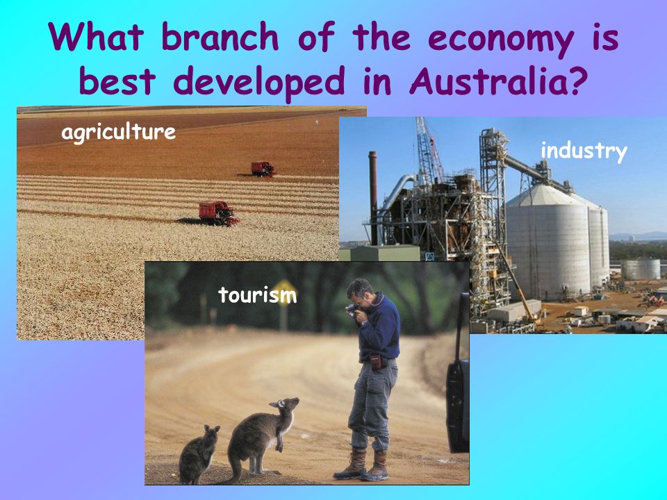 What branch of the economy is best developed in Australia