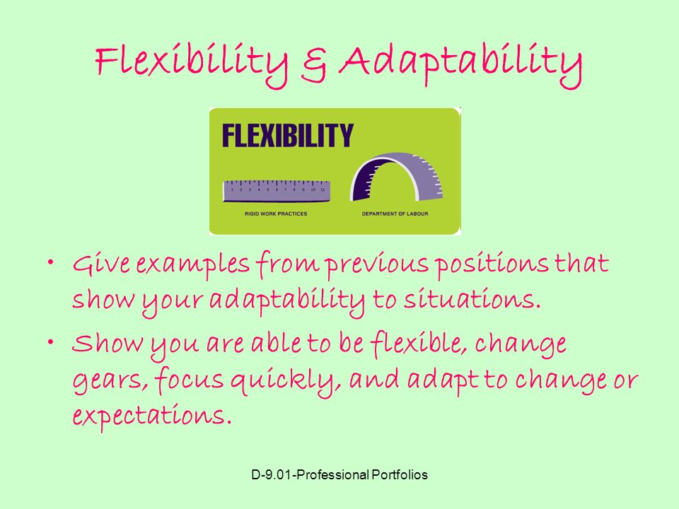 Flexibility & Adaptability