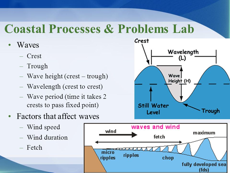 Coastal Processes & Problems Lab