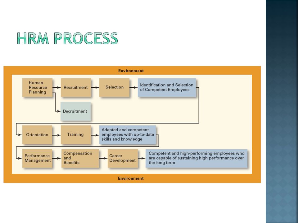 HRM process