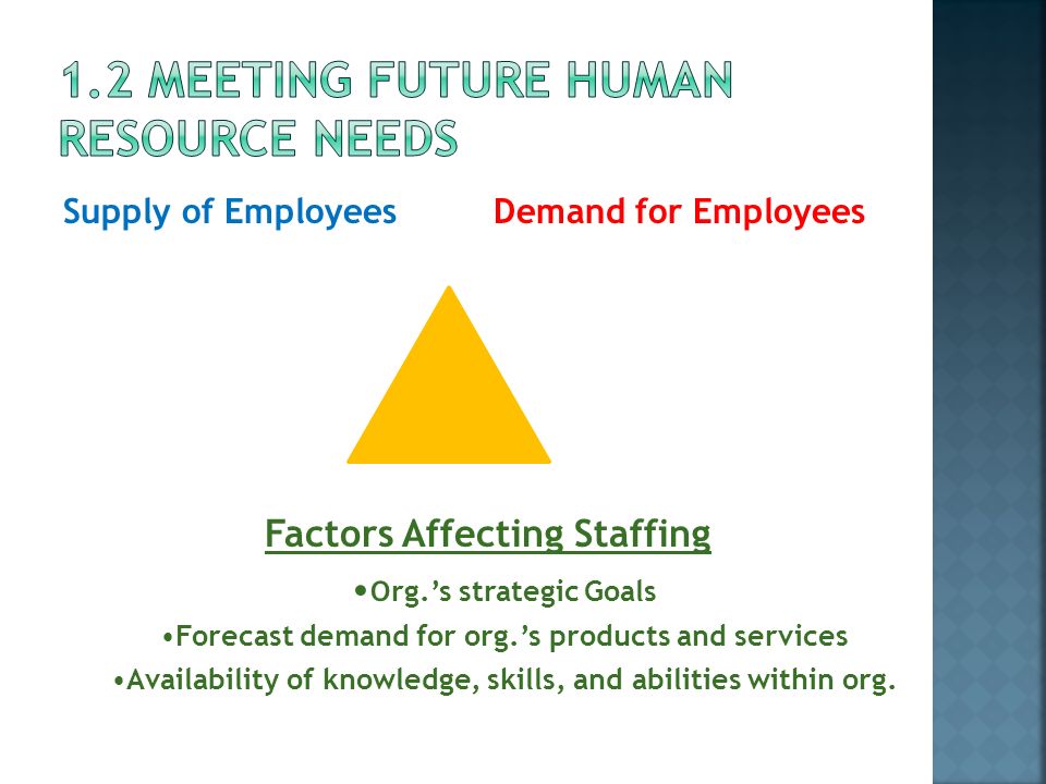 1.2 Meeting future human resource needs