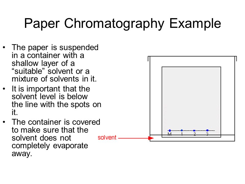 Paper Chromatography Example