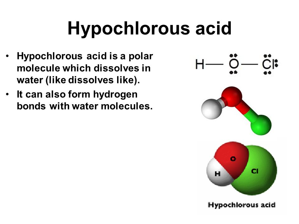 Hypochlorous acid Hypochlorous acid is a polar molecule which dissolves in water (like dissolves like).