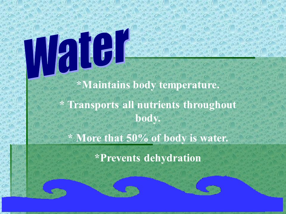 Water *Maintains body temperature.